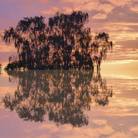 Buy canvas prints of Reflections of sunset by Robert Gipson