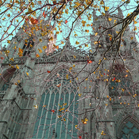 Buy canvas prints of York MInster in the fall by Robert Gipson