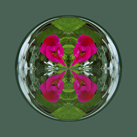 Buy canvas prints of Flower Globe by Robert Gipson