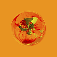 Buy canvas prints of  Orange flower in globe by Robert Gipson