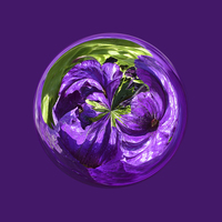 Buy canvas prints of   Purple Flower Globe by Robert Gipson