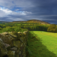 Buy canvas prints of  Yorkshire, looking it,s best again. by Robert Gipson