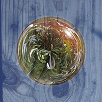 Buy canvas prints of  Flower Globe Bubble on Wood by Robert Gipson