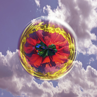 Buy canvas prints of  Flower Bubble in the sky by Robert Gipson