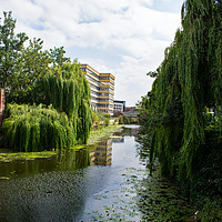 Buy canvas prints of River Foss. York by Robert Gipson