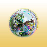 Buy canvas prints of Bubble Globe by Robert Gipson