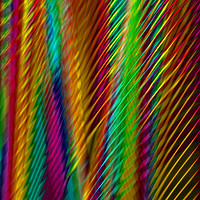 Buy canvas prints of Feathers in Abstract by Robert Gipson