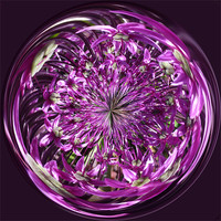 Buy canvas prints of Spherical Purple Haze by Robert Gipson