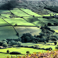 Buy canvas prints of Landscape across the Yorkshire Dale by Robert Gipson