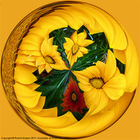Buy canvas prints of Spherical Paperweight Flowers by Robert Gipson