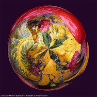Buy canvas prints of Spherical Paperweight Dog Rose by Robert Gipson