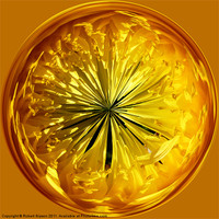 Buy canvas prints of Spherical Paperweight Dandy Flower by Robert Gipson