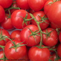 Buy canvas prints of Tomatoes to go. by Robert Gipson
