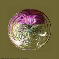 Buy canvas prints of Spherical Paperweight Thistle Sphere by Robert Gipson