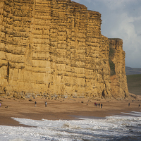 Buy canvas prints of East Cliff by Daniel Bristow
