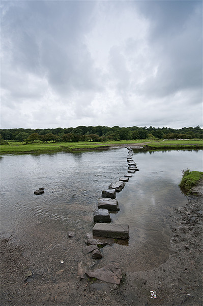 Stepping Stones Picture Board by Steve Purnell