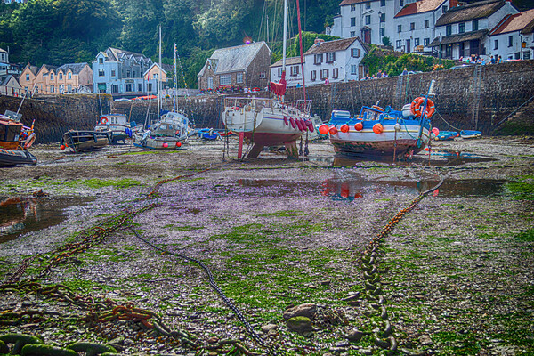 Lynmouth Harbour Picture Board by Steve Purnell