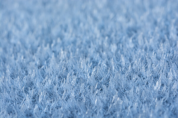 The Ice Forest Picture Board by Steve Purnell