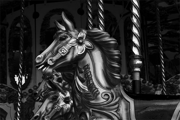 Merry go round horses Picture Board by Steve Purnell
