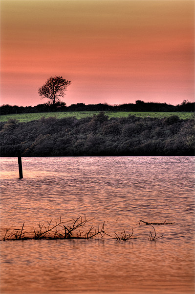 Carew Tidal Reach Picture Board by Steve Purnell