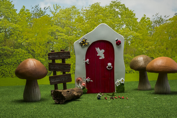 Enchanting Mushroom Forest Picture Board by Steve Purnell