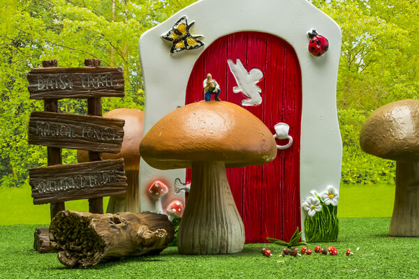 Enchanted Mushroom Hunt Picture Board by Steve Purnell