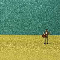 Buy canvas prints of The Song of the Miniature Busker by Steve Purnell
