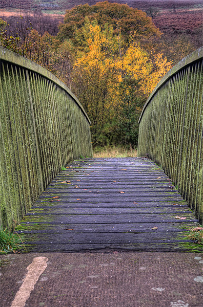 The Bridge to Autumn Picture Board by Steve Purnell