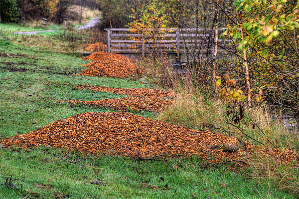 Autumn Clean Up Picture Board by Steve Purnell