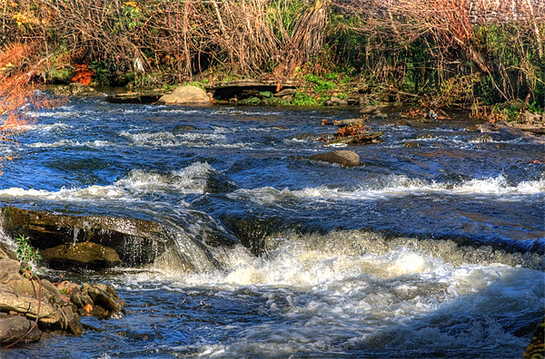 River Rhymney Picture Board by Steve Purnell