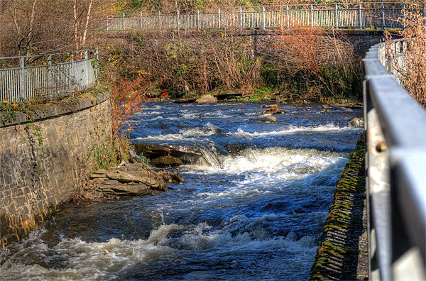 River Rhymney Picture Board by Steve Purnell