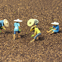 Buy canvas prints of The Magical World of Tiny Rice Farmers by Steve Purnell