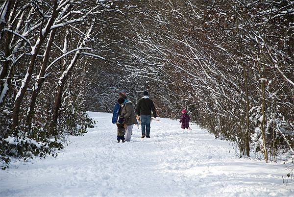 A walk in the snow Picture Board by Steve Purnell