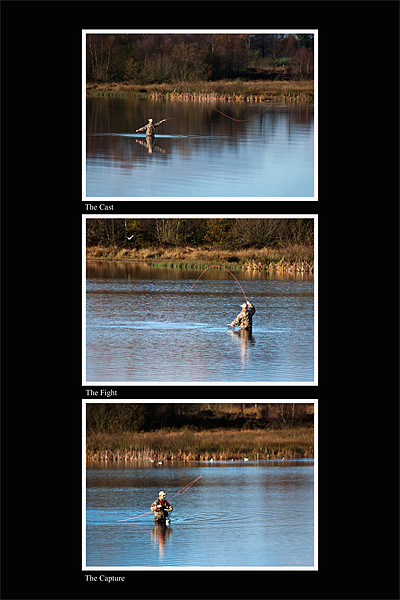 Fly Fishing Triptych Black Background Picture Board by Steve Purnell