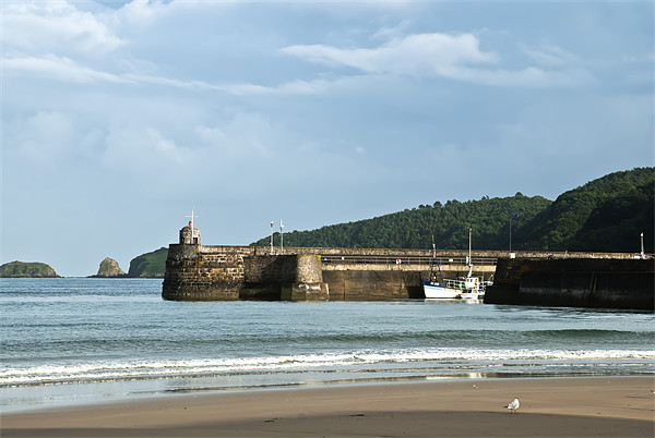 Saundersfoot Harbour Picture Board by Steve Purnell