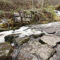 Buy canvas prints of Rushing Water by Steve Purnell