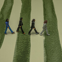 Buy canvas prints of The Beatles Walk Again by Steve Purnell