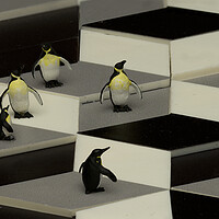 Buy canvas prints of Penguins In An Illusion by Steve Purnell
