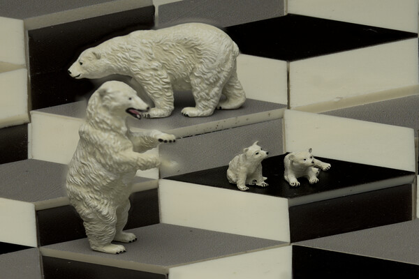 Polar Bears On The Cubes Picture Board by Steve Purnell