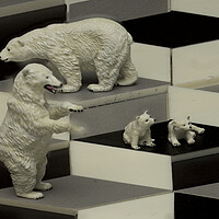 Buy canvas prints of Polar Bears On The Cubes by Steve Purnell