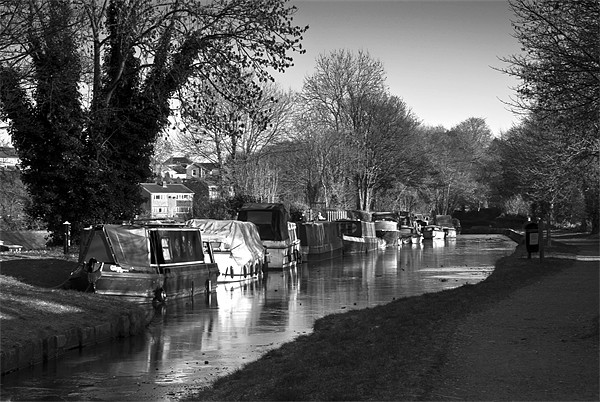 An Icy Morning On The Canal Picture Board by Steve Purnell