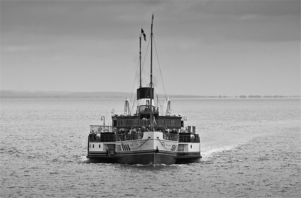 Waverley Paddle Steamer Mono Picture Board by Steve Purnell