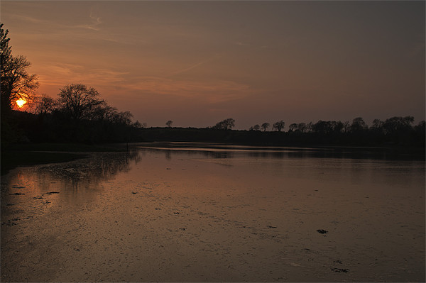 Mill Pond Sunset Picture Board by Steve Purnell