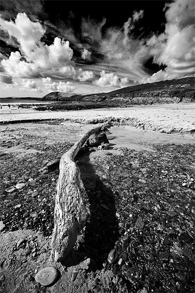 Driftwood Monochrome Picture Board by Steve Purnell