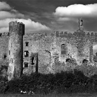 Buy canvas prints of Laugharne Castle Monochrome by Steve Purnell