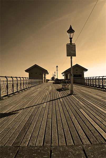 Penarth Pier in Sepia Picture Board by Steve Purnell
