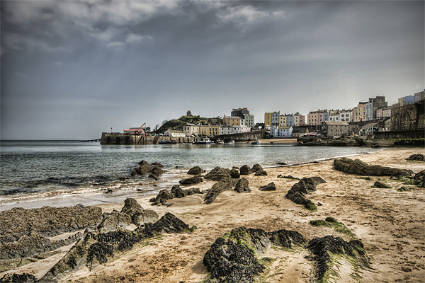Tenby Harbour from North Beach Picture Board by Steve Purnell