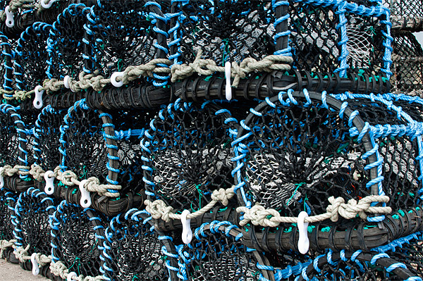 Lobster Pots Picture Board by Steve Purnell
