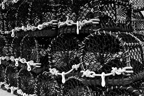 Lobster Pots Mono Picture Board by Steve Purnell