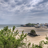 Buy canvas prints of Tenby Low Tide by Steve Purnell